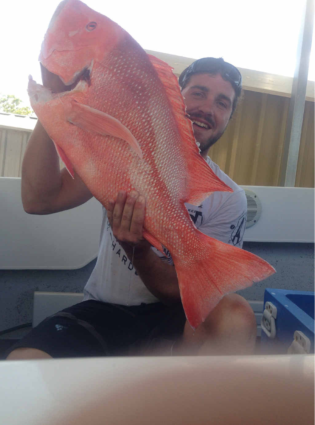 A nice red snapper caught off Yeppoon. A nice red snapper caught off Yeppoon.